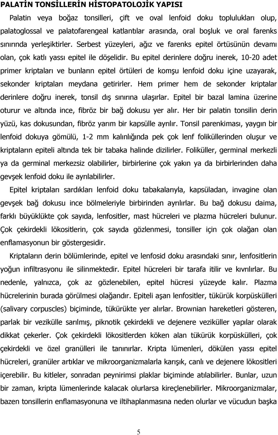 Bu epitel derinlere doğru inerek, 10-20 adet primer kriptaları ve bunların epitel örtüleri de komşu lenfoid doku içine uzayarak, sekonder kriptaları meydana getirirler.