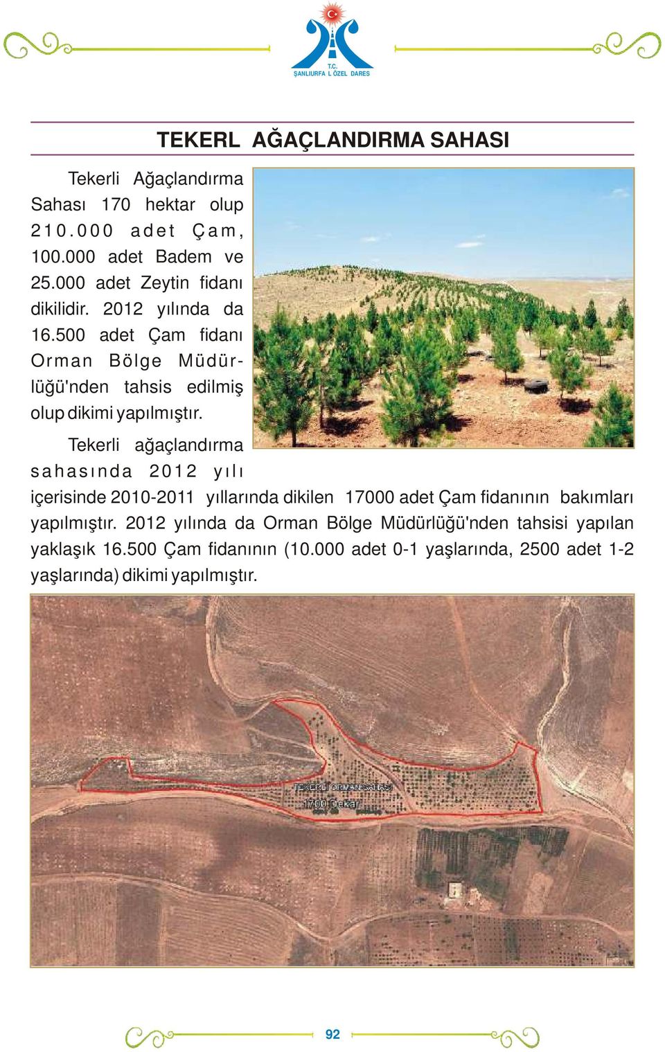 Tekerli ağaçlandırma s a h a s ı n d a 2 0 1 2 y ı l ı içerisinde 2010-2011 yıllarında dikilen 17000 adet Çam fidanının bakımları yapılmıştır.