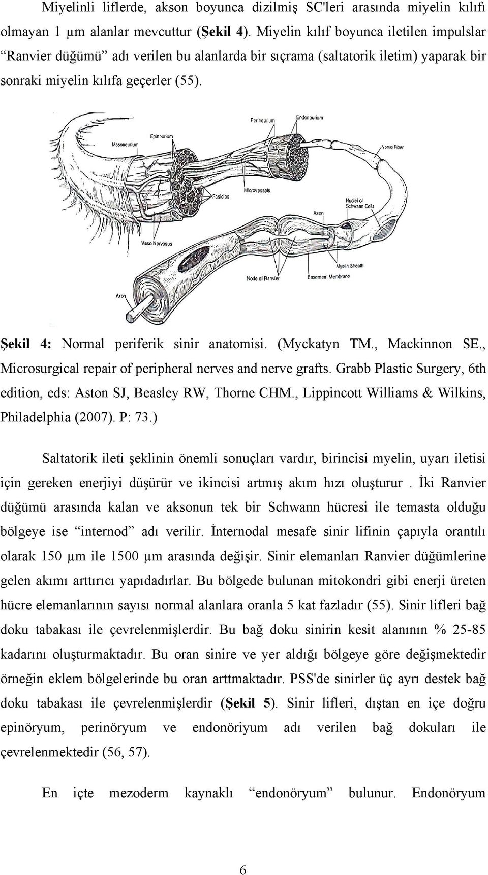 Şekil 4: Normal periferik sinir anatomisi. (Myckatyn TM., Mackinnon SE., Microsurgical repair of peripheral nerves and nerve grafts.