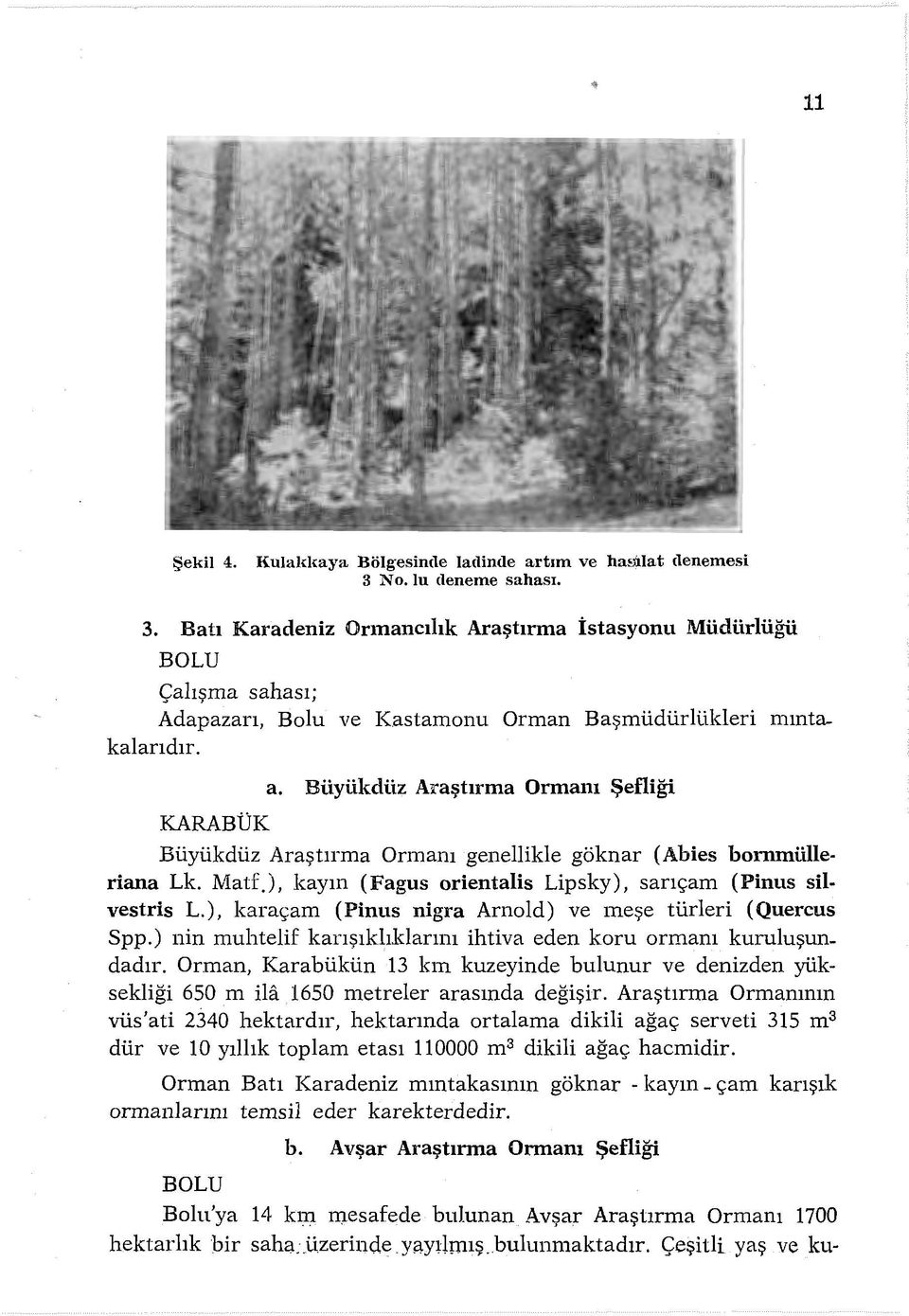 ), kayın (Fagus orientabs Lipsky), sarıçam (Pinus silvestris L.), karaçam ( Pinus nigra Arnold) ve meşe türleri ( Quercus Spp.) nin muhtelif karışıklı.klarım ihtiva eden koru ormanı kuruluşun. dadır.