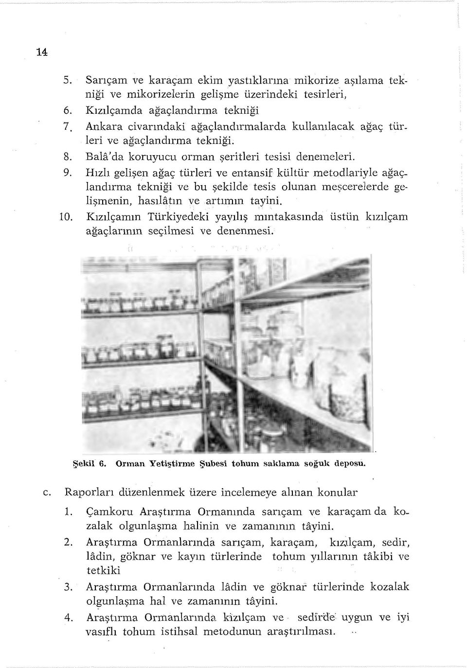 Hızlı gelişen ağaç türleri ve entansif kültür metodlariyle ağaçlanciırma tekniği ve bu şekilde tesis olunan meşcerelerde gelişmenin, hasılatın ve artıının tayini. 10.