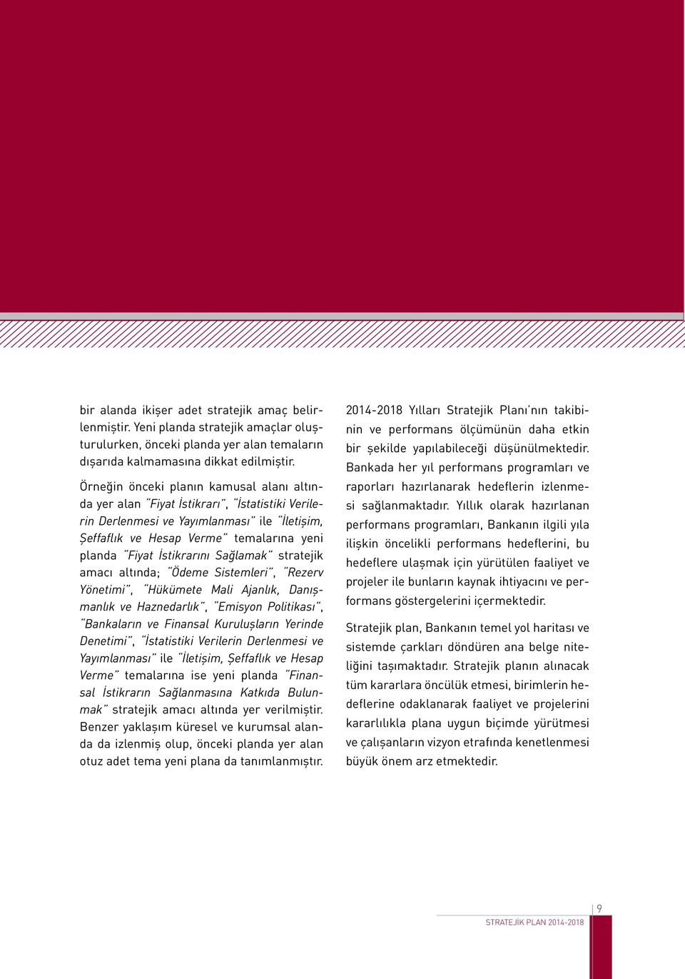 Sağlamak stratejik amacı altında; Ödeme Sistemleri, Rezerv Yönetimi, Hükümete Mali Ajanlık, Danışmanlık ve Haznedarlık, Emisyon Politikası, Bankaların ve Finansal Kuruluşların Yerinde Denetimi,