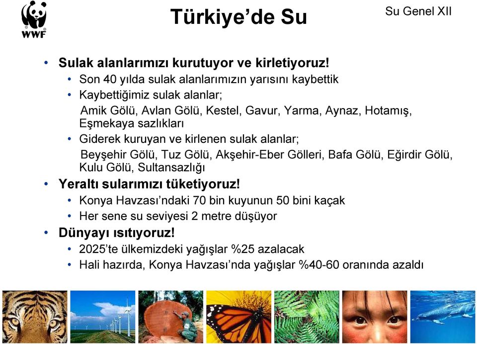 sazlıkları Giderek kuruyan ve kirlenen sulak alanlar; Beyşehir Gölü, Tuz Gölü, Akşehir-Eber Gölleri, Bafa Gölü, Eğirdir Gölü, Kulu Gölü, Sultansazlığı