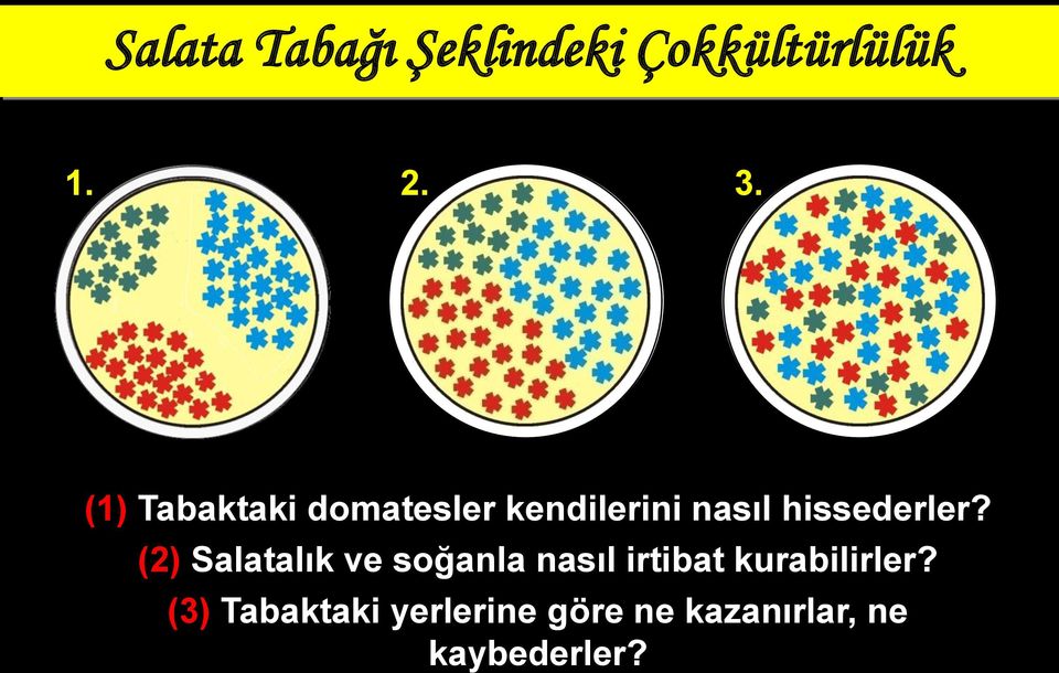 (2) Salatalık ve soğanla nasıl irtibat kurabilirler?