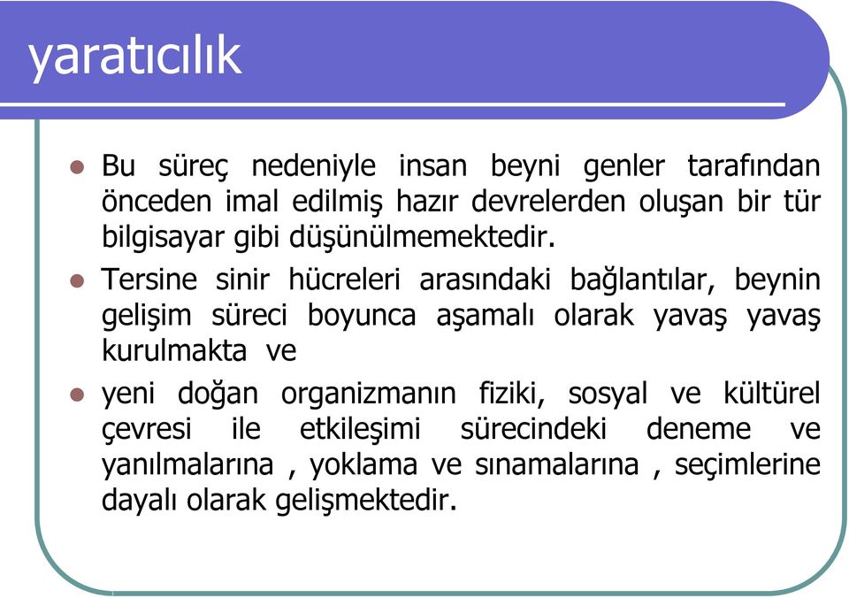 Tersine sinir hücreleri arasındaki bağlantılar, beynin gelişim süreci boyunca aşamalı olarak yavaş yavaş