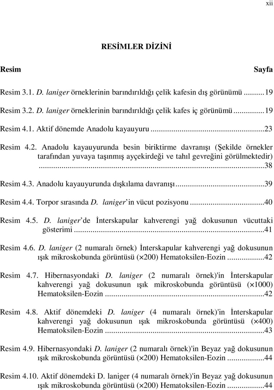 ..38 Resim 4.3. Anadolu kayauyurunda dışkılama davranışı...39 Resim 4.4. Torpor sırasında D. laniger in vücut pozisyonu...40 Resim 4.5. D. laniger de Đnterskapular kahverengi yağ dokusunun vücuttaki gösterimi.