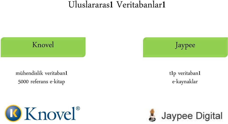 veritabanı 5000 referans