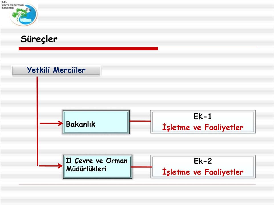 Faaliyetler İl Çevre ve Orman