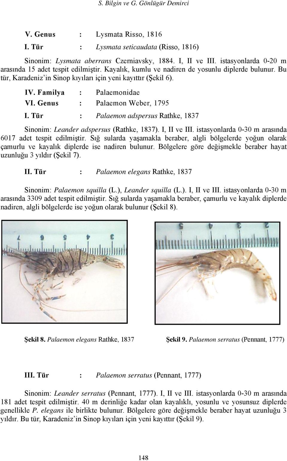 Familya : Palaemonidae VI. Genus : Palaemon Weber, 1795 I. Tür : Palaemon adspersus Rathke, 1837 Sinonim: Leander adspersus (Rathke, 1837). I, II ve III.