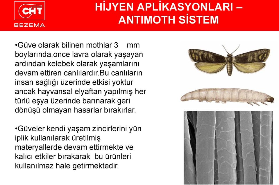 bu canlıların insan sağlığı üzerinde etkisi yoktur ancak hayvansal elyaftan yapılmış her türlü eşya üzerinde barınarak geri