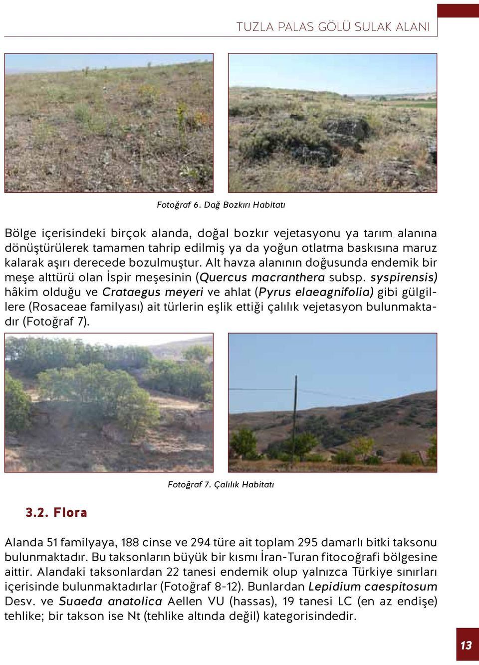 bozulmuştur. Alt havza alanının doğusunda endemik bir meşe alttürü olan İspir meşesinin (Quercus macranthera subsp.