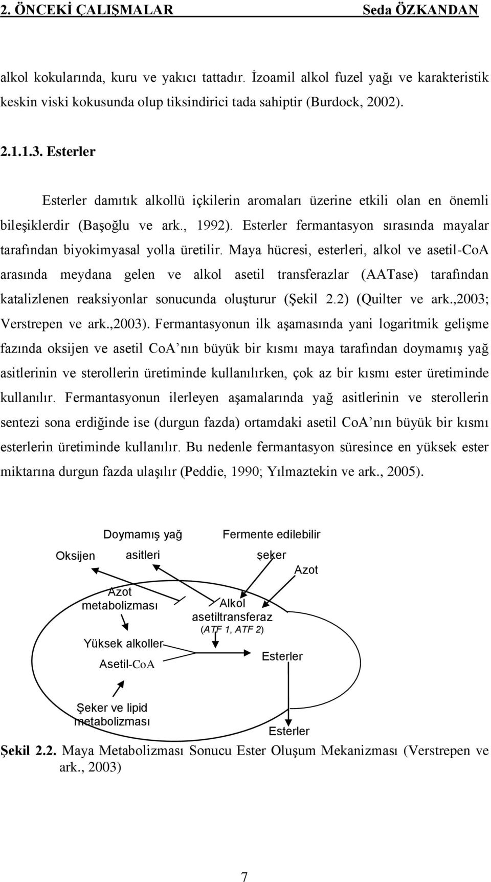 Esterler fermantasyon sırasında mayalar tarafından biyokimyasal yolla üretilir.