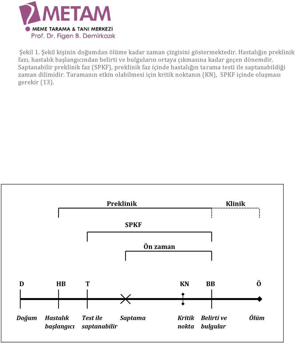 Saptanabilir preklinik faz (SPKF), preklinik faz içinde hastalığın tarama testi ile saptanabildiği zaman dilimidir.