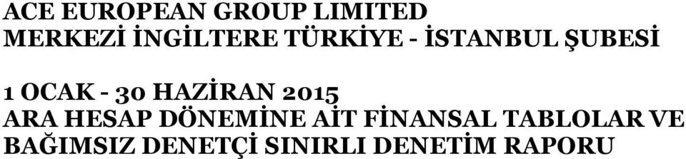 HESAP DÖNEMİNE AİT FİNANSAL TABLOLAR