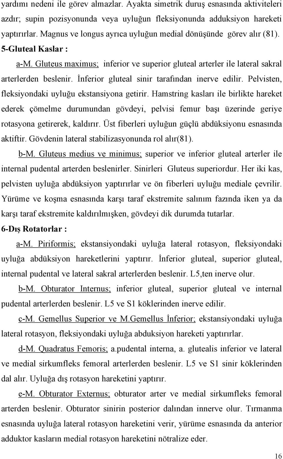 İnferior gluteal sinir tarafından inerve edilir. Pelvisten, fleksiyondaki uyluğu ekstansiyona getirir.