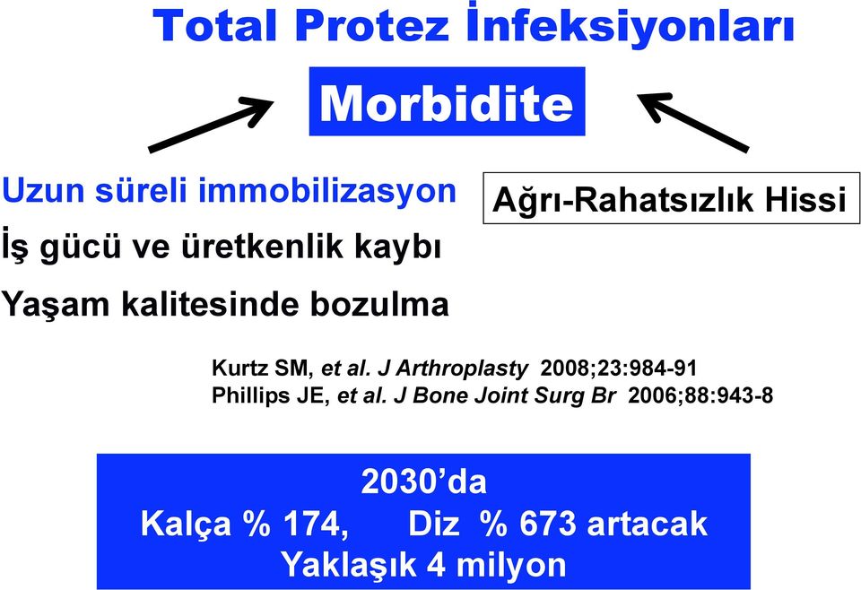 SM, et al. J Arthroplasty 2008;23:984-91 Phillips JE, et al.