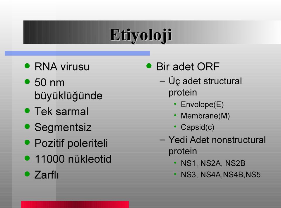 adet ORF Üç adet structural protein Envolope(E) Membrane(M)