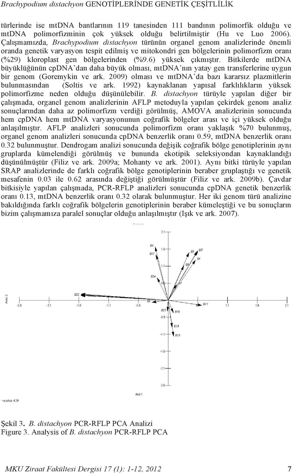 Çalışmamızda, Brachypodium distachyon türünün organel genom analizlerinde önemli oranda genetik varyasyon tespit edilmiş ve mitokondri gen bölgelerinin polimorfizm oranı (%29) kloroplast gen