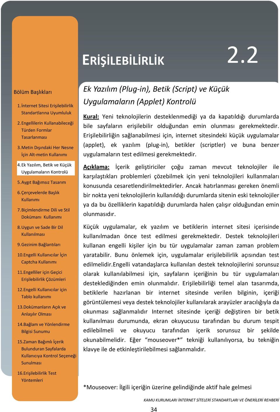 Erişilebilirliğin sağlanabilmesi için, internet sitesindeki küçük uygulamalar (applet), ek yazılım (plug in), betikler (scriptler) ve buna benzer uygulamaların test edilmesi gerekmektedir.