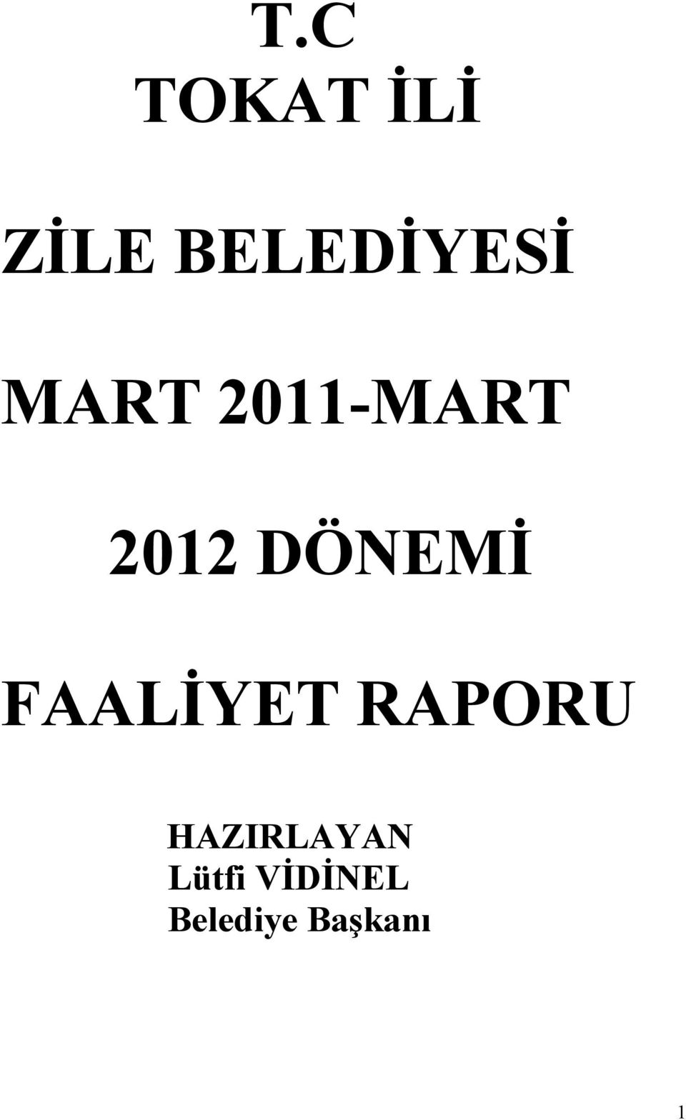 2012 DÖNEMİ FAALİYET RAPORU