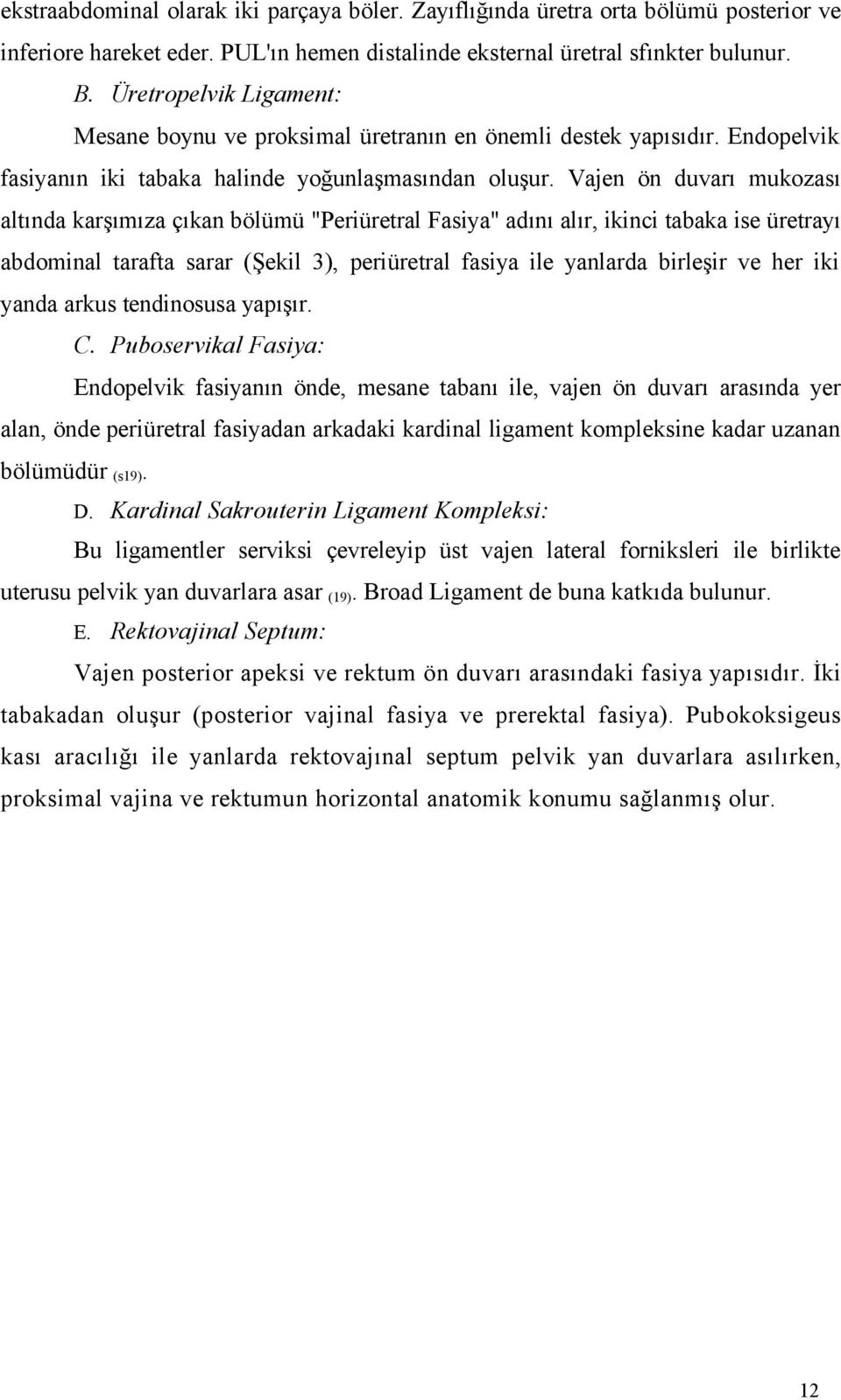 Vajen ön duvarı mukozası altında karşımıza çıkan bölümü "Periüretral Fasiya" adını alır, ikinci tabaka ise üretrayı abdominal tarafta sarar (Şekil 3), periüretral fasiya ile yanlarda birleşir ve her