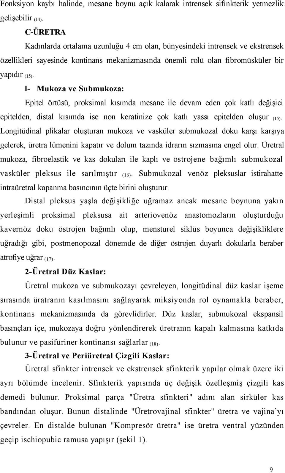 l- Mukoza ve Submukoza: Epitel örtüsü, proksimal kısımda mesane ile devam eden çok katlı değişici epitelden, distal kısımda ise non keratinize çok katlı yassı epitelden oluşur.