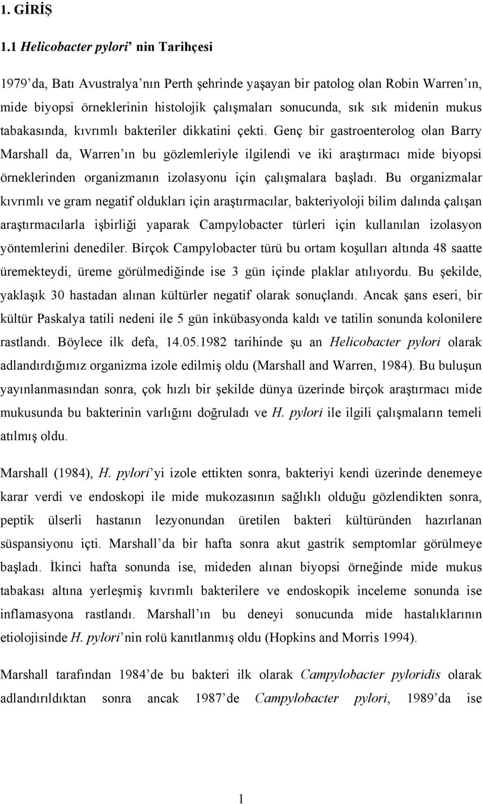 mukus tabakasında, kıvrımlı bakteriler dikkatini çekti.