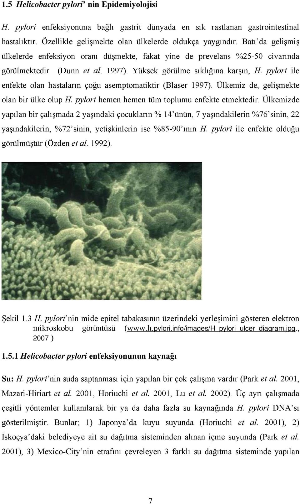 pylori ile enfekte olan hastaların çoğu asemptomatiktir (Blaser 1997). Ülkemiz de, gelişmekte olan bir ülke olup H. pylori hemen hemen tüm toplumu enfekte etmektedir.