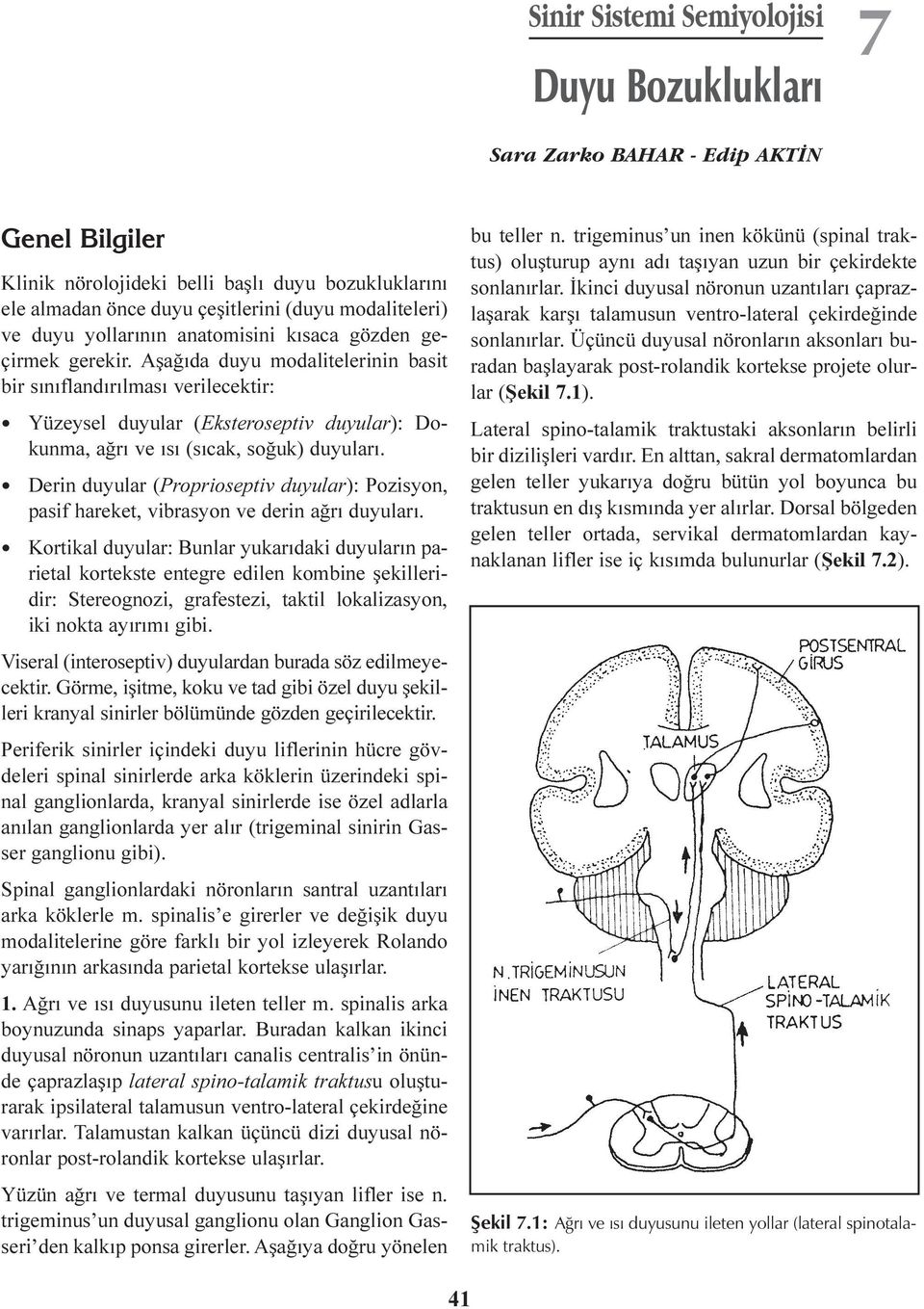 Aþaðýda duyu modalitelerinin basit bir sýnýflandýrýlmasý verilecektir: Yüzeysel duyular (Eksteroseptiv duyular): Dokunma, aðrý ve ýsý (sýcak, soðuk) duyularý.