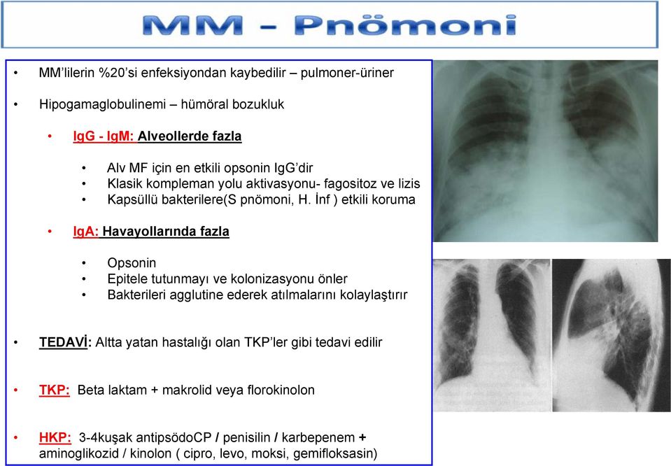 İnf ) etkili koruma IgA: Havayollarında fazla Opsonin Epitele tutunmayı ve kolonizasyonu önler Bakterileri agglutine ederek atılmalarını kolaylaştırır