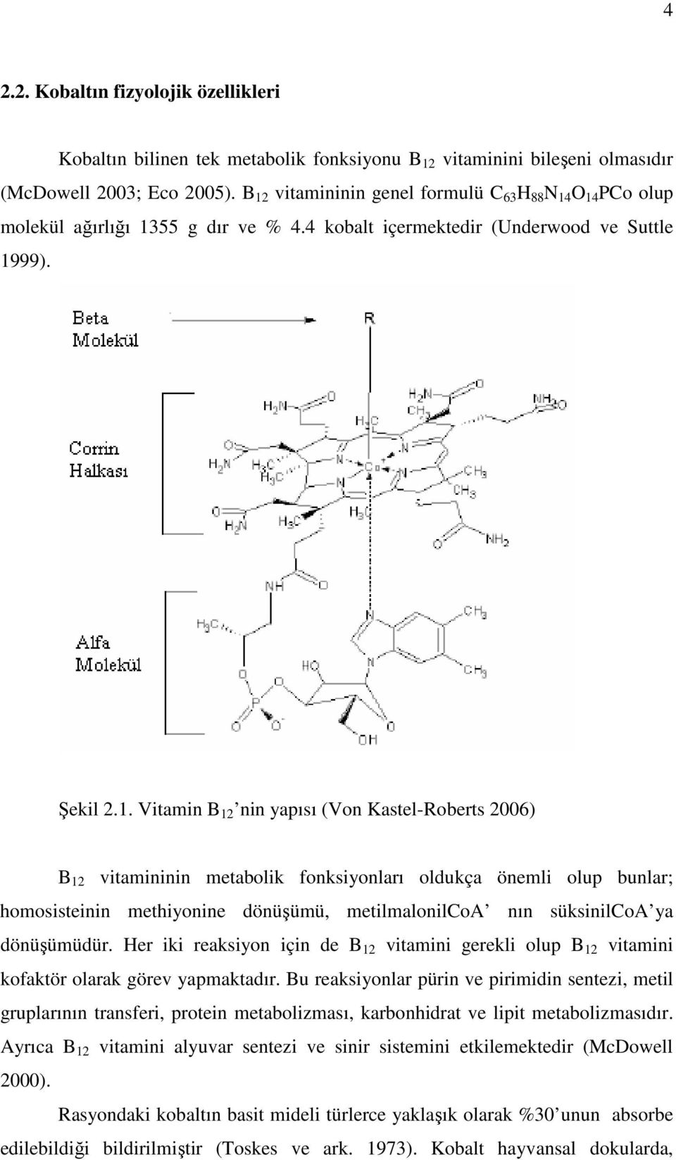 2006) B 12 vitamininin metabolik fonksiyonları oldukça önemli olup bunlar; homosisteinin methiyonine dönüşümü, metilmalonilcoa nın süksinilcoa ya dönüşümüdür.