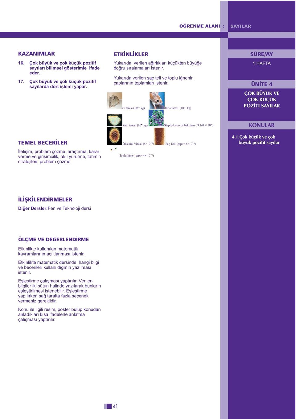 ev faresi (10 ² kg) tarla faresi (10 ³ kg) SÜRE/AY 1 HAFTA ÜNÝTE 4 ÇOK BÜYÜK VE ÇOK KÜÇÜK POZÝTÝ SAYILAR stratejileri, problem çözme kum tanesi (10 ¹ kg) Staphylococcus bakterisi ( 9.