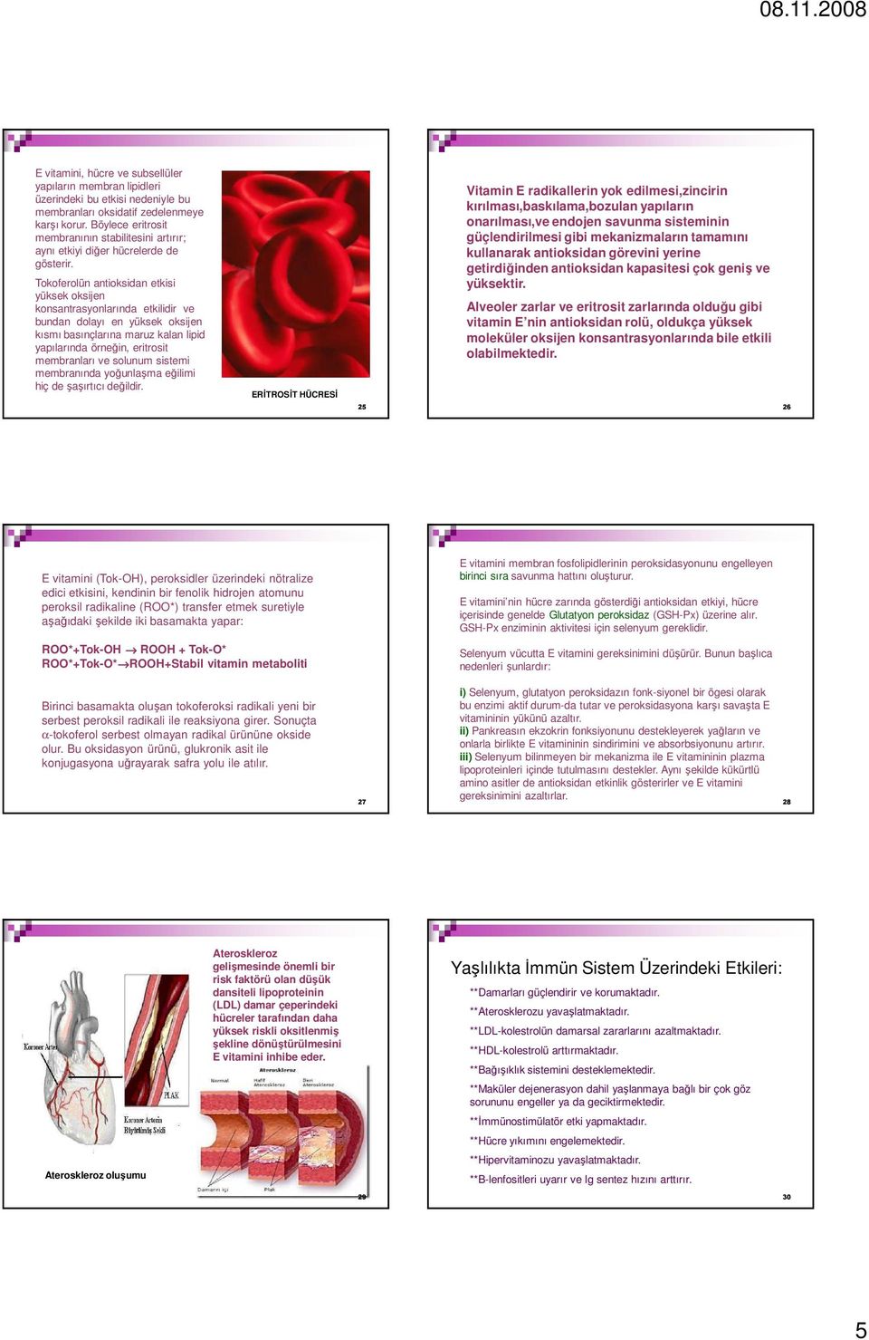 Tokoferolün antioksidan etkisi yüksek oksijen konsantrasyonlarında etkilidir ve bundan dolayı en yüksek oksijen kısmı basınçlarına maruz kalan lipid yapılarında örneğin, eritrosit membranları ve