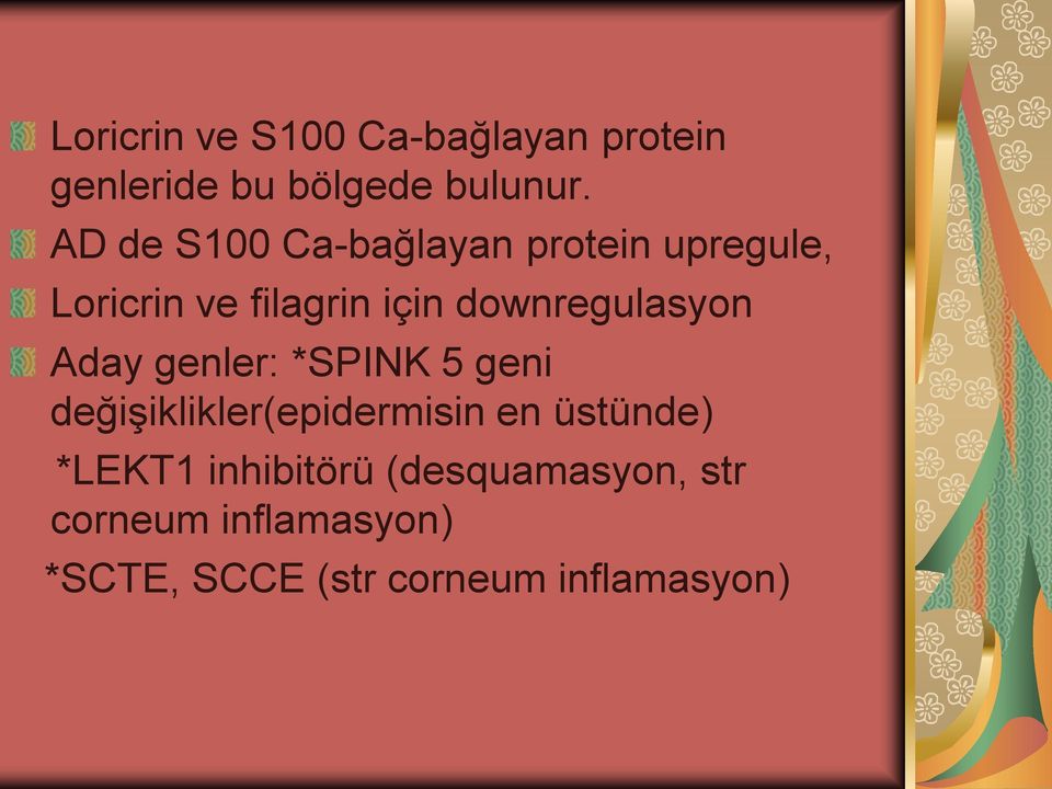 downregulasyon Aday genler: *SPINK 5 geni değişiklikler(epidermisin en