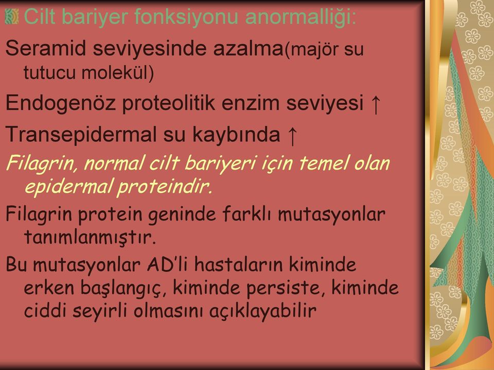 epidermal proteindir. Filagrin protein geninde farklı mutasyonlar tanımlanmıştır.