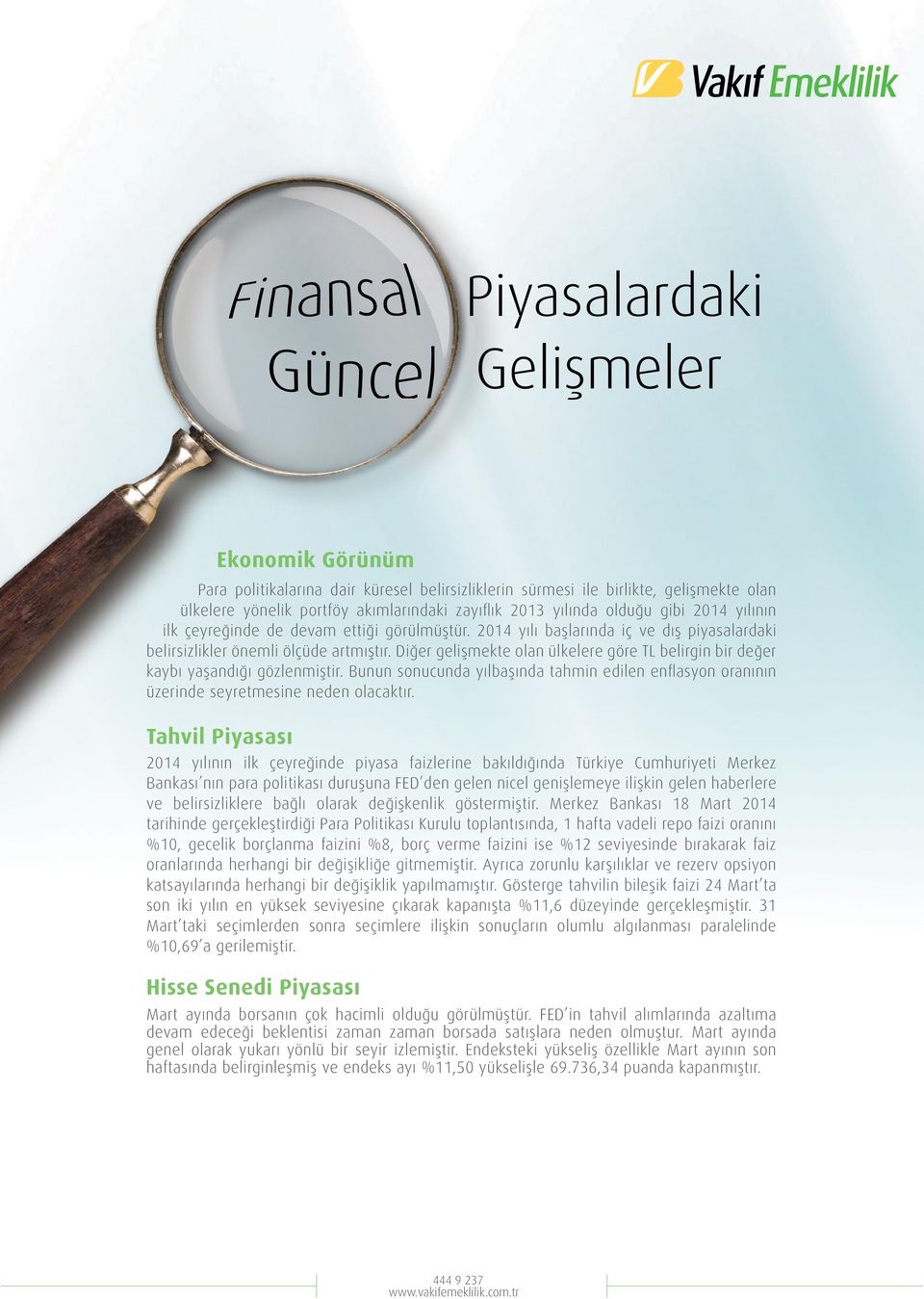 Diğer gelişmekte olan ülkelere göre TL belirgin bir değer kaybı yaşandığı gözlenmiştir. Bunun sonucunda yılbaşında tahmin edilen enflasyon oranının üzerinde seyretmesine neden olacaktır.