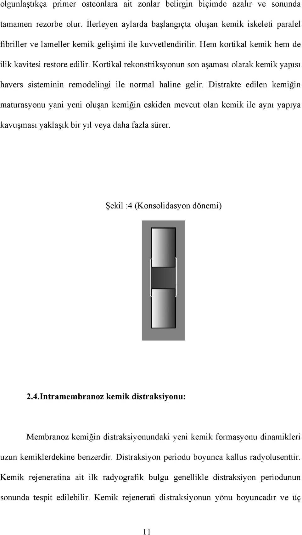 Kortikal rekonstriksyonun son aşaması olarak kemik yapısı havers sisteminin remodelingi ile normal haline gelir.