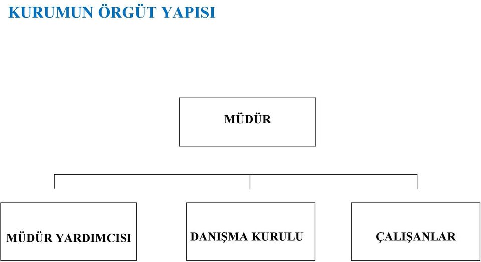 MÜDÜR YARDIMCISI