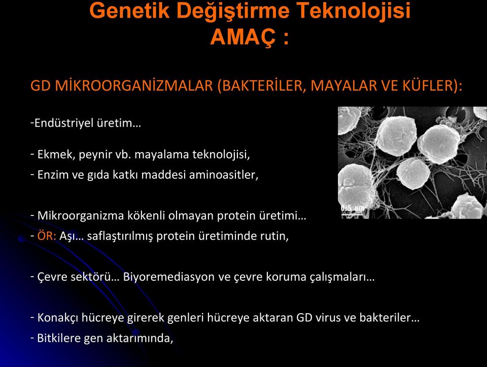 mayalama teknolojisi, - Enzim ve gıda katkı maddesi aminoasitler, - Mikroorganizma kökenli olmayan protein üretimi