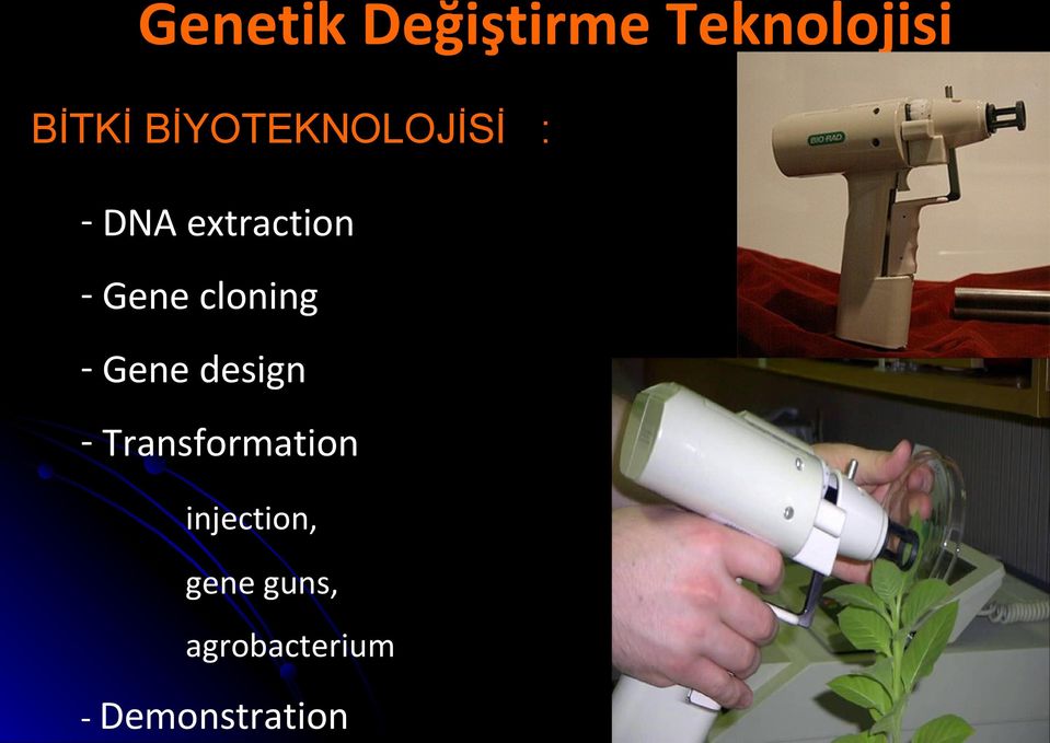 cloning - Gene design - Transformation