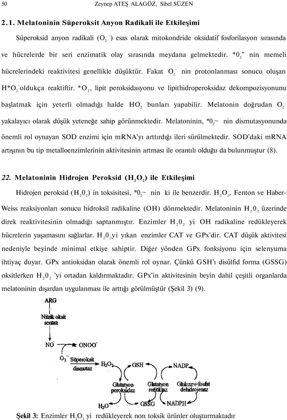 meydana gelmektedir. *0 2 " nin memeli hücrelerindeki reaktivitesi genellikle düşüktür. Fakat. O 2 - nin protonlanması sonucu oluşan H*O - 2 oldukça reaktiftir.