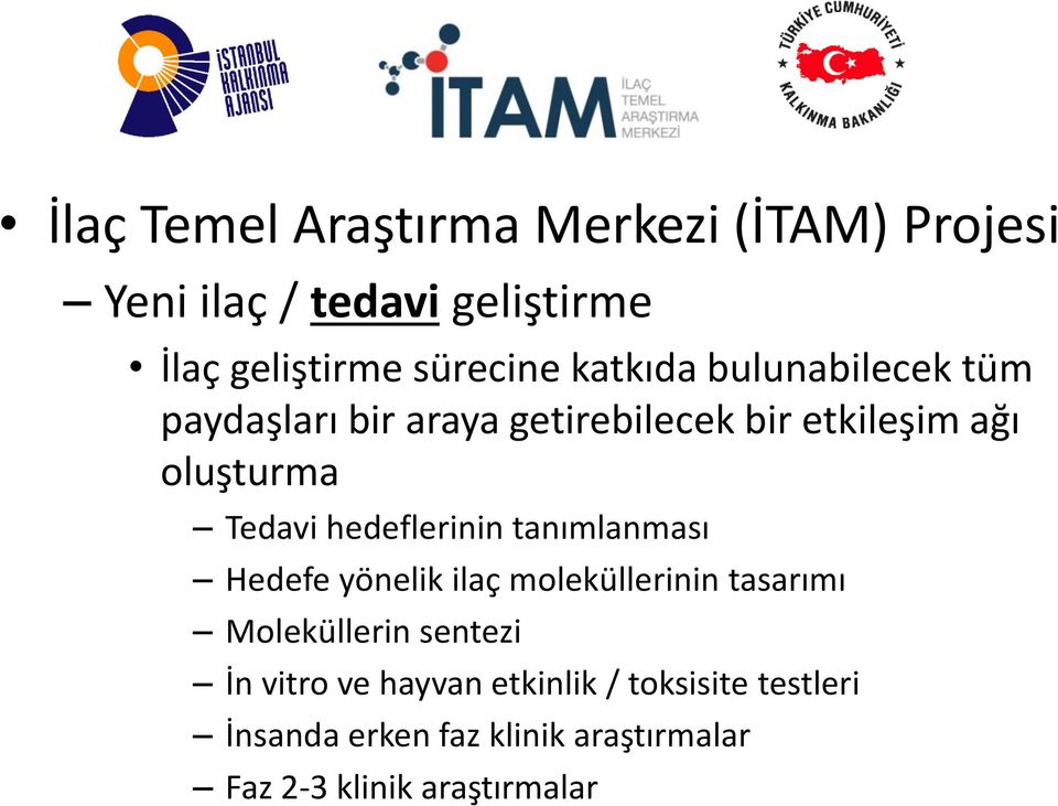 hedeflerinin tanımlanması Hedefe yönelik ilaç moleku llerinin tasarımı Moleku llerin sentezi İn