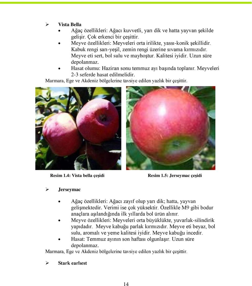 Meyveleri 2-3 seferde hasat edilmelidir. Marmara, Ege ve Akdeniz bölgelerine tavsiye edilen yazlık bir çeşittir. Resim 1.4: Vista bella çeşidi Resim 1.