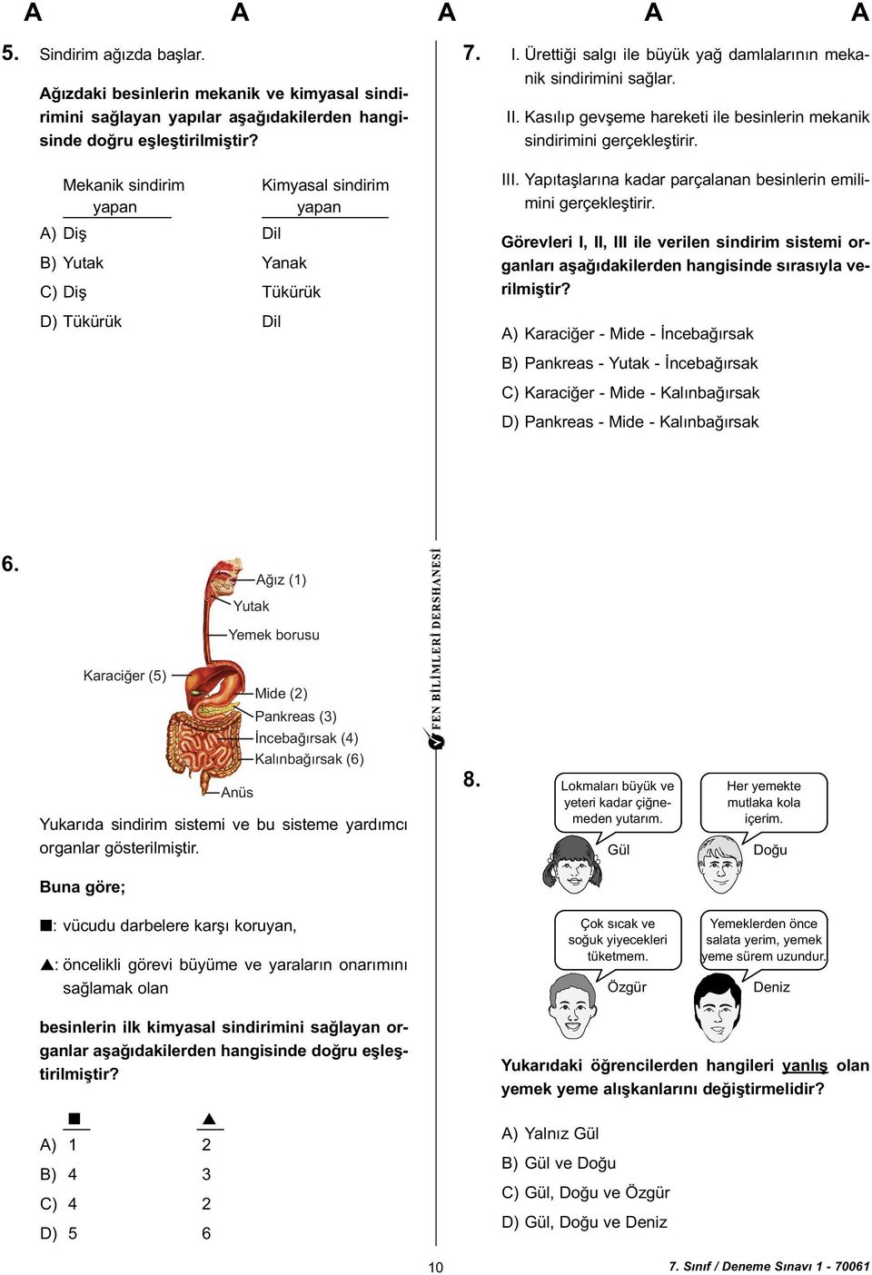 Kasýlýp gevþeme hareketi ile besinlerin mekanik sindirimini gerçekleþtirir. III. Yapýtaþlarýna kadar parçalanan besinlerin emilimini gerçekleþtirir.