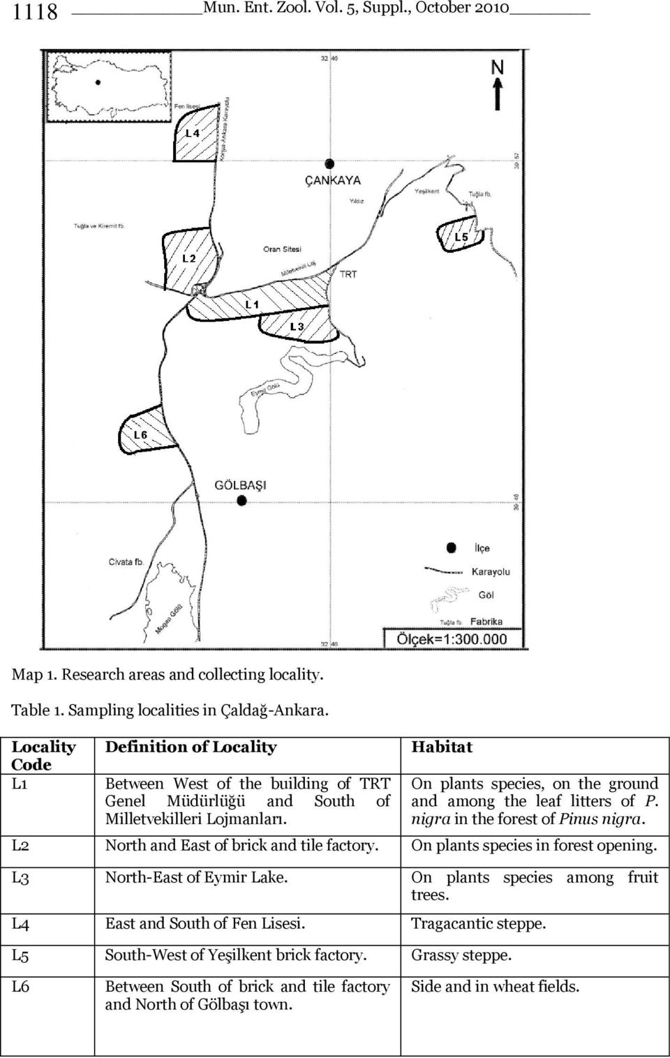 Habitat On plants species, on the ground and among the leaf litters of P. nigra in the forest of Pinus nigra. L2 North and East of brick and tile factory.