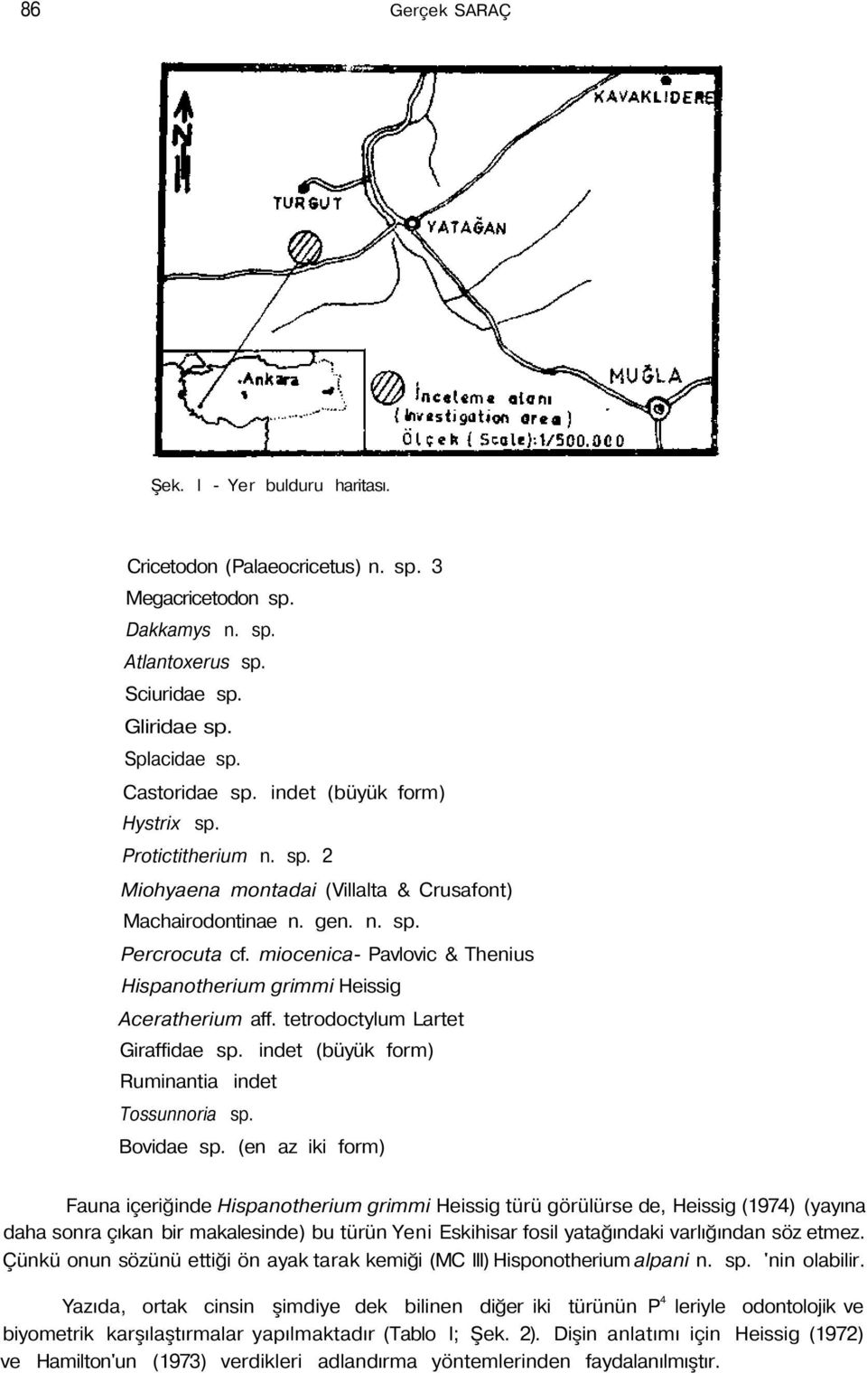 miocenica- Pavlovic & Thenius Hispanotherium grimmi Heissig Aceratherium aff. tetrodoctylum Lartet Giraffidae sp. indet (büyük form) Ruminantia indet Tossunnoria sp. Bovidae sp.