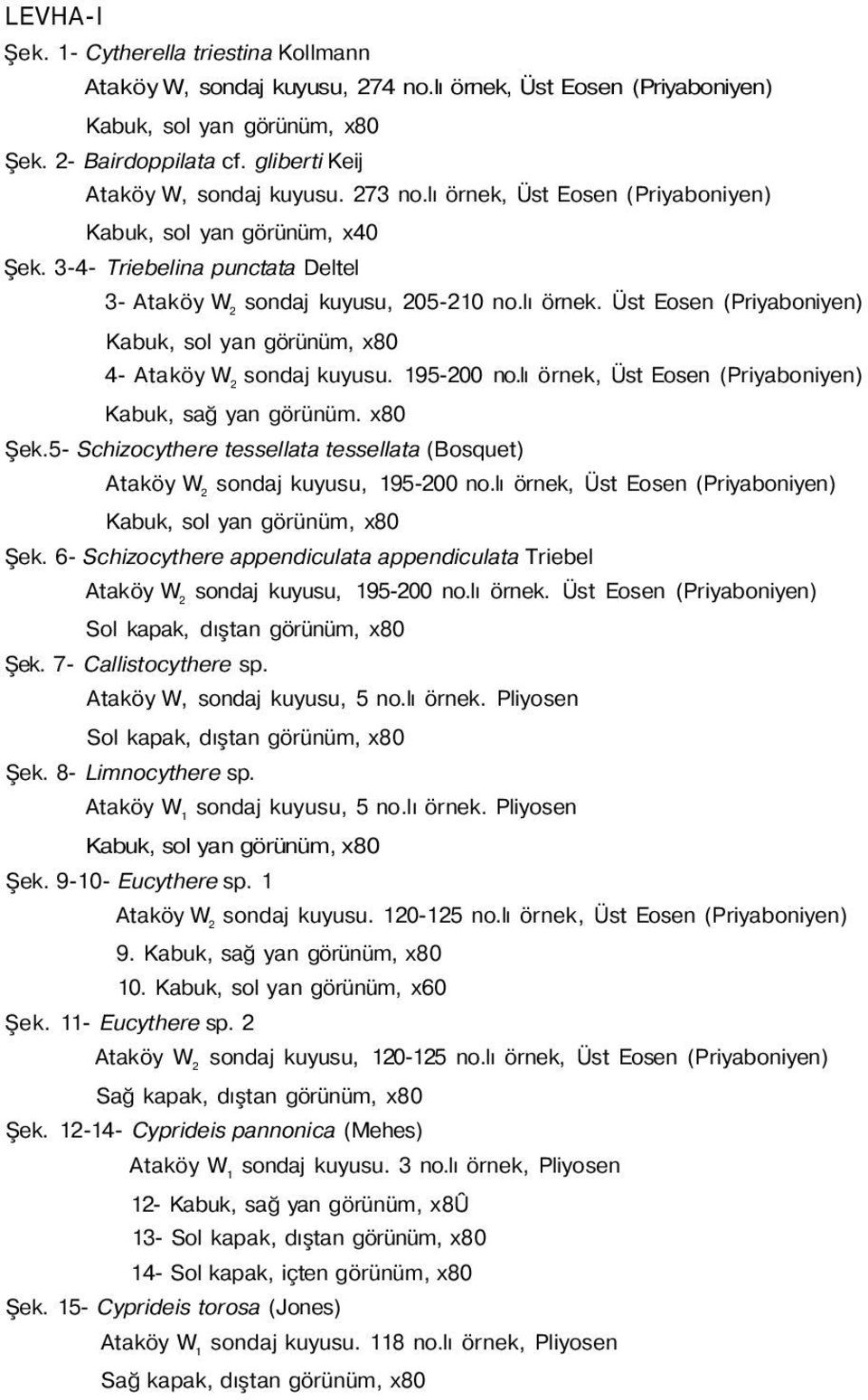 195-200 no.lı örnek, Üst Eosen (Priyaboniyen) Kabuk, sağ yan görünüm. x80 Şek.5- Schizocythere tessellata tessellata (Bosquet) sondaj kuyusu, 195-200 no.