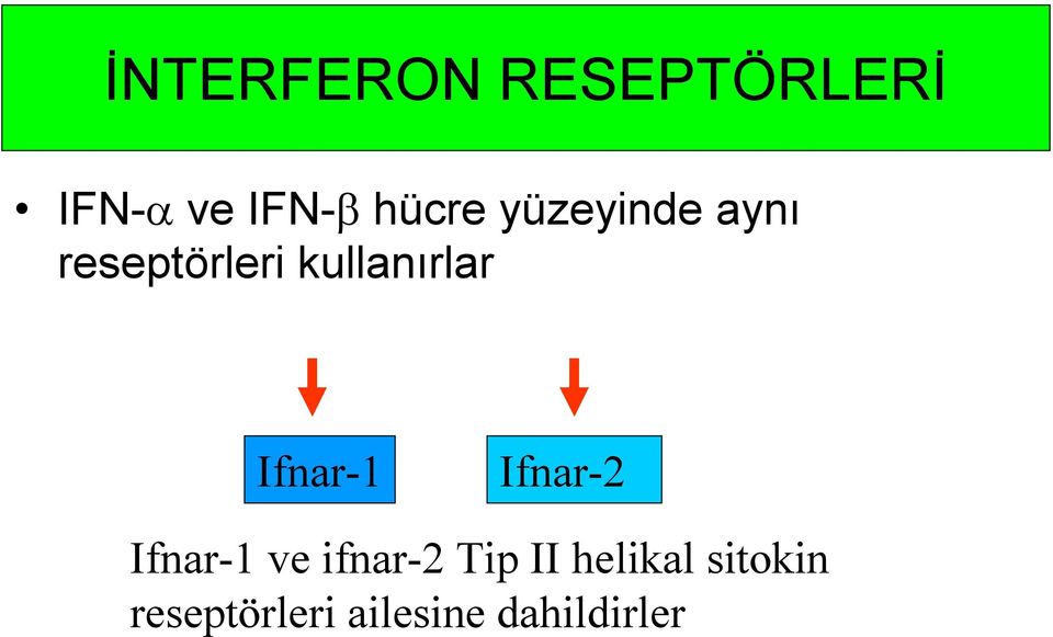 Ifnar-1 Ifnar-2 Ifnar-1 ve ifnar-2 Tip II