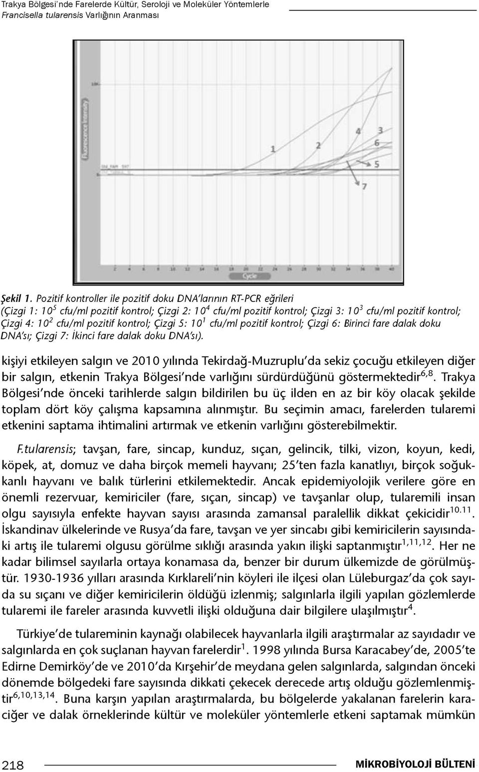 pozitif kontrol; Çizgi 5: 10 1 cfu/ml pozitif kontrol; Çizgi 6: Birinci fare dalak doku DNA sı; Çizgi 7: İkinci fare dalak doku DNA sı).