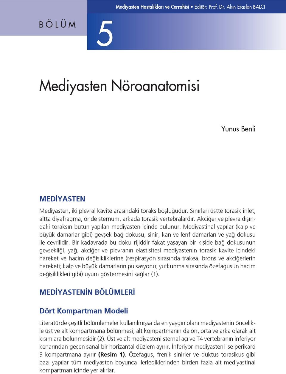 Sınırları üstte torasik inlet, altta diyafragma, önde sternum, arkada torasik vertebralardır. Akciğer ve plevra dışındaki toraksın bütün yapıları mediyasten içinde bulunur.